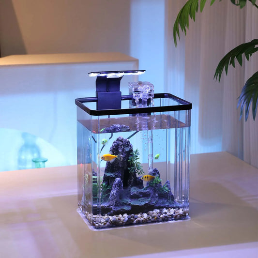 10L Fish Tank