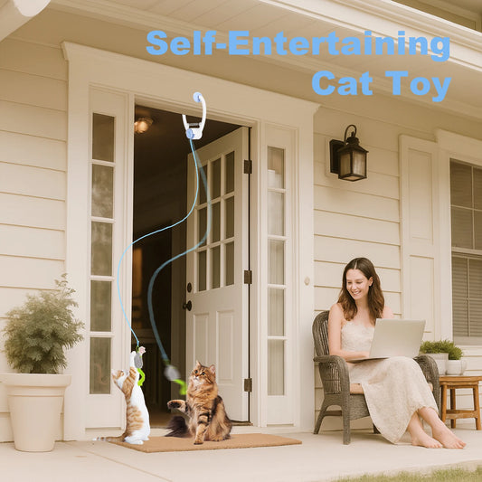 Electric Door Hanging Cat Toy