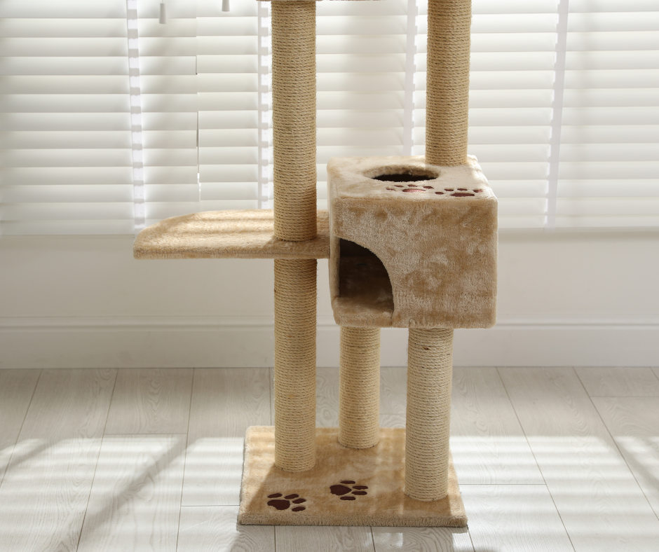 Cat Scratching Post