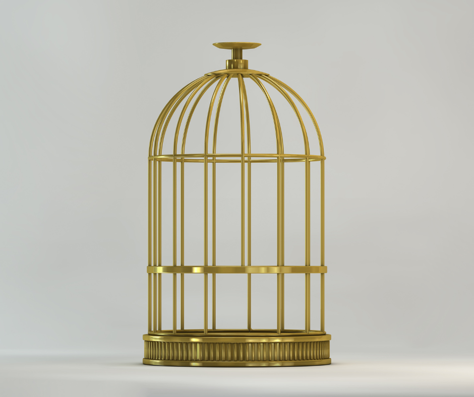 Bird Cages