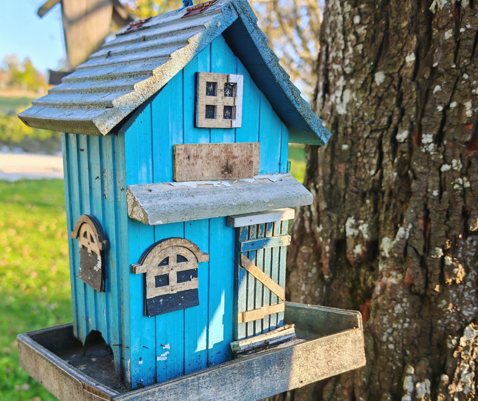 Bird Houses