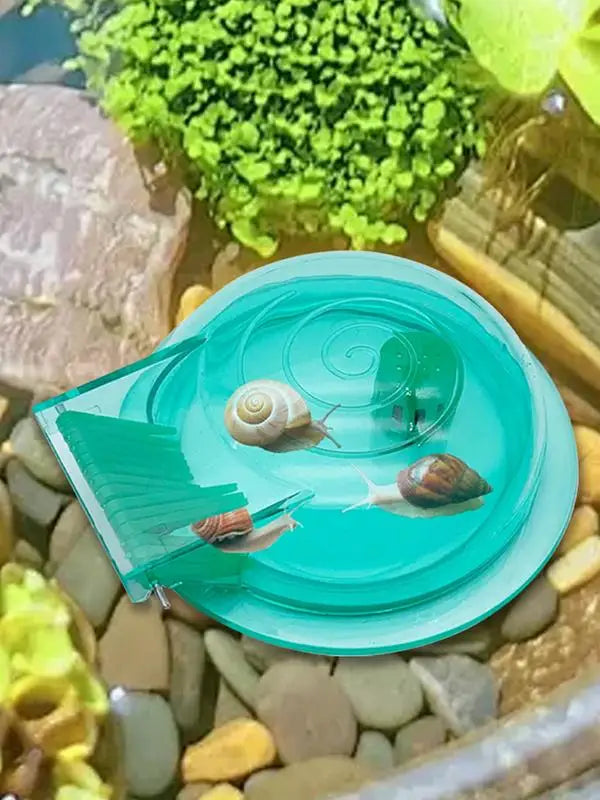 Snail Catcher Snail Trap Transparent Snail Catcher