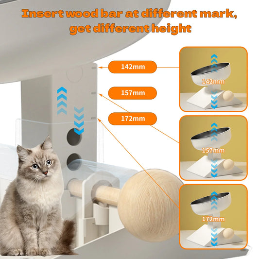 Elevated Dog Bowls for Small Medium Dogs and cats