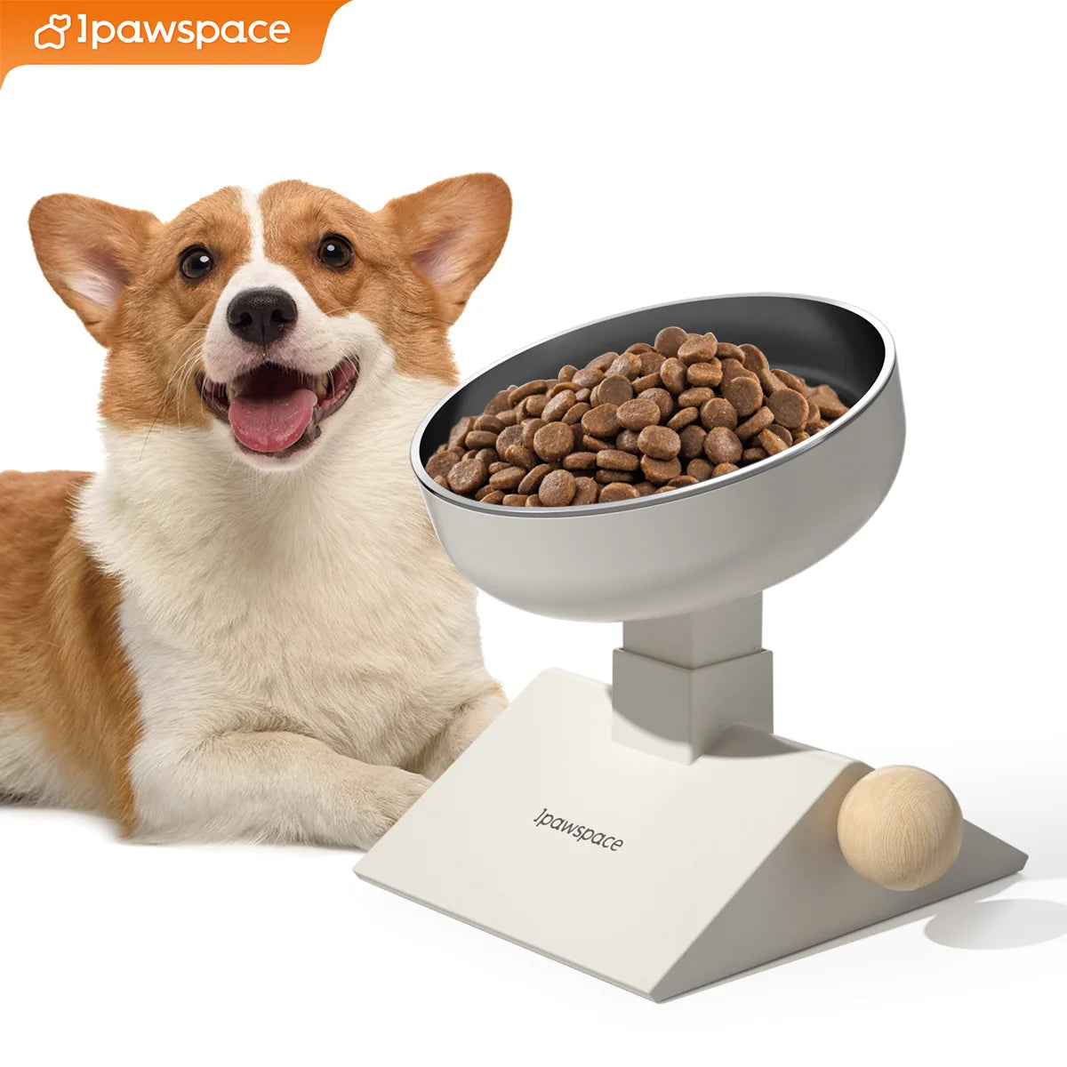 Elevated Dog Bowls for Small Medium Dogs and cats