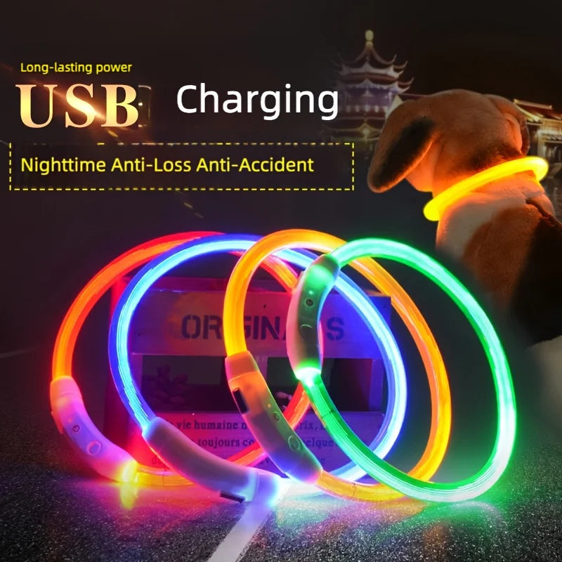New LED Dog Collar USB Rechargeable