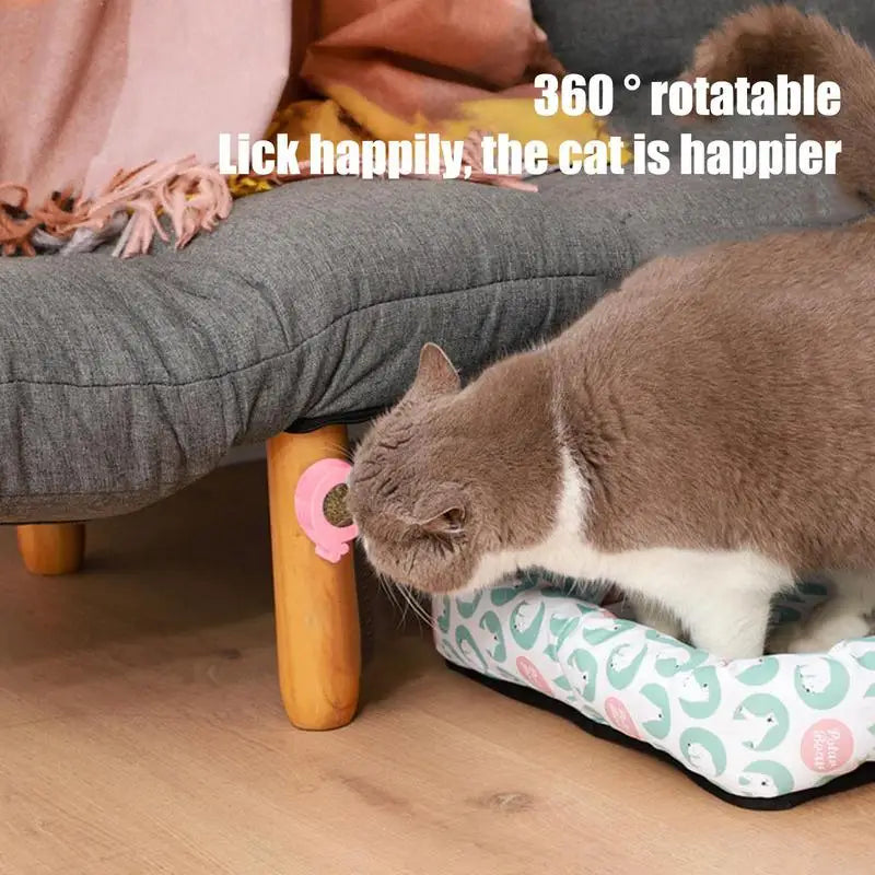 Catnip Balls For Cats