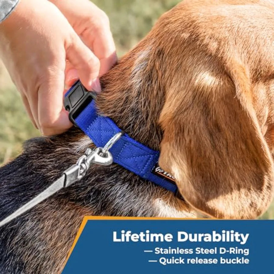 Personalized Dog Collar Custom Embroidered