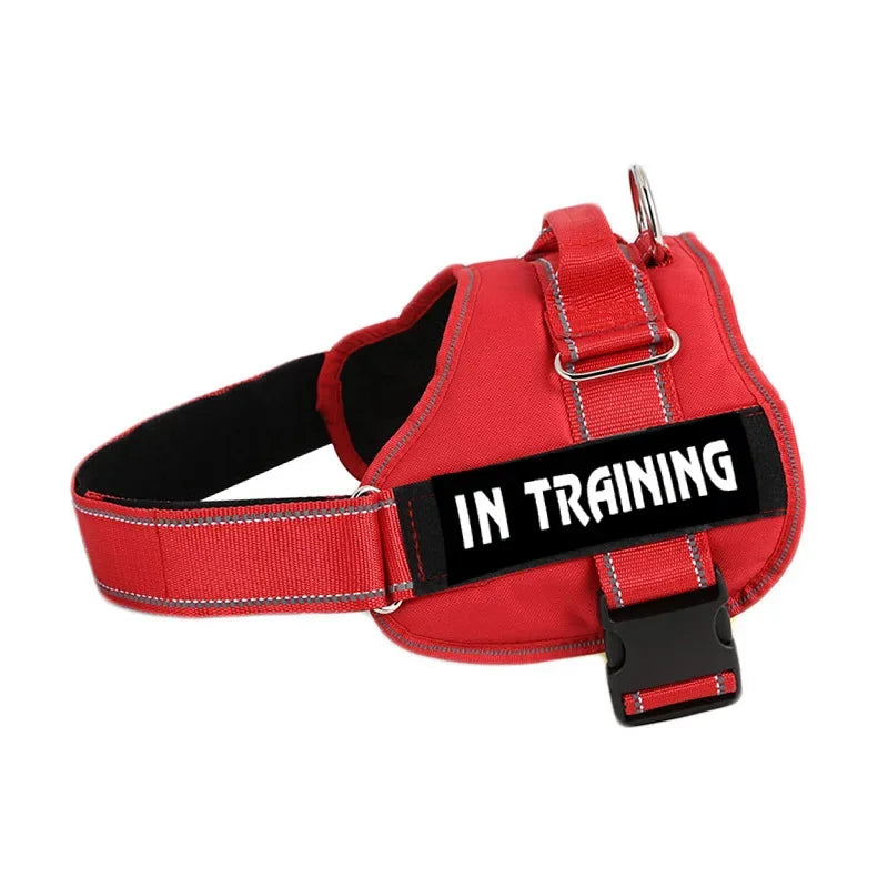Adjustable Service Dog Harness