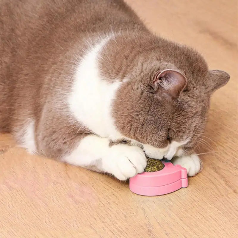 Catnip Balls For Cats