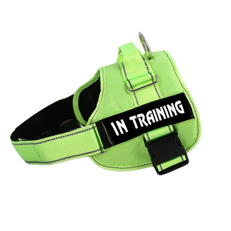 Adjustable Service Dog Harness