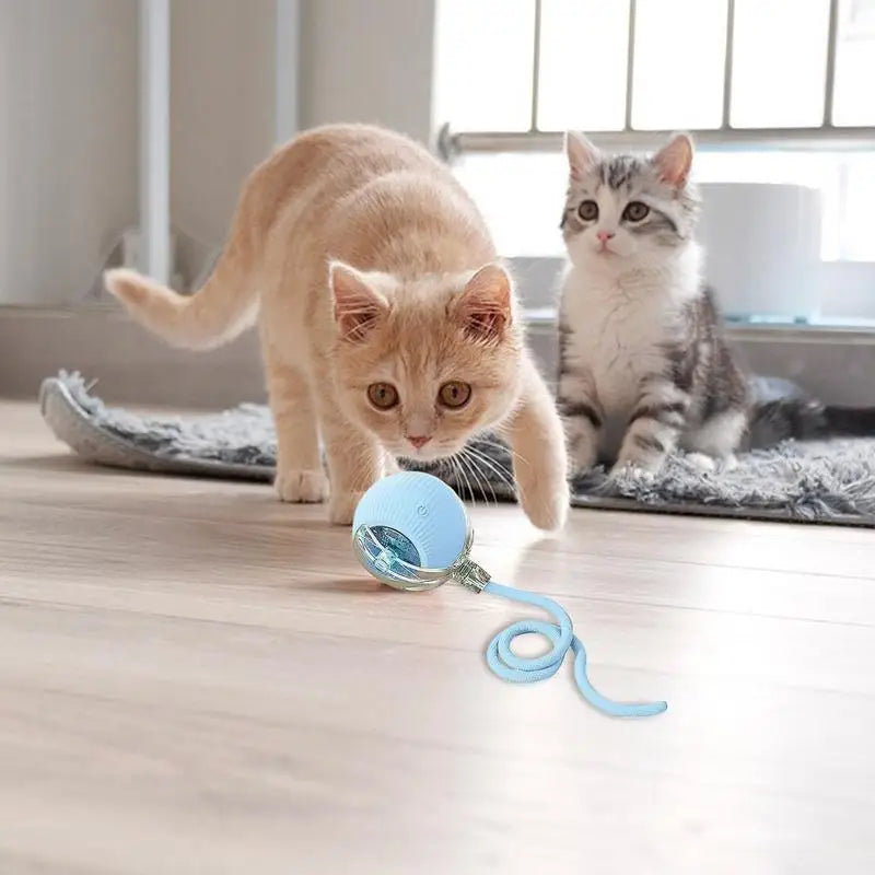 Automatic Rolling Ball Cat Interactive Ball Toy
