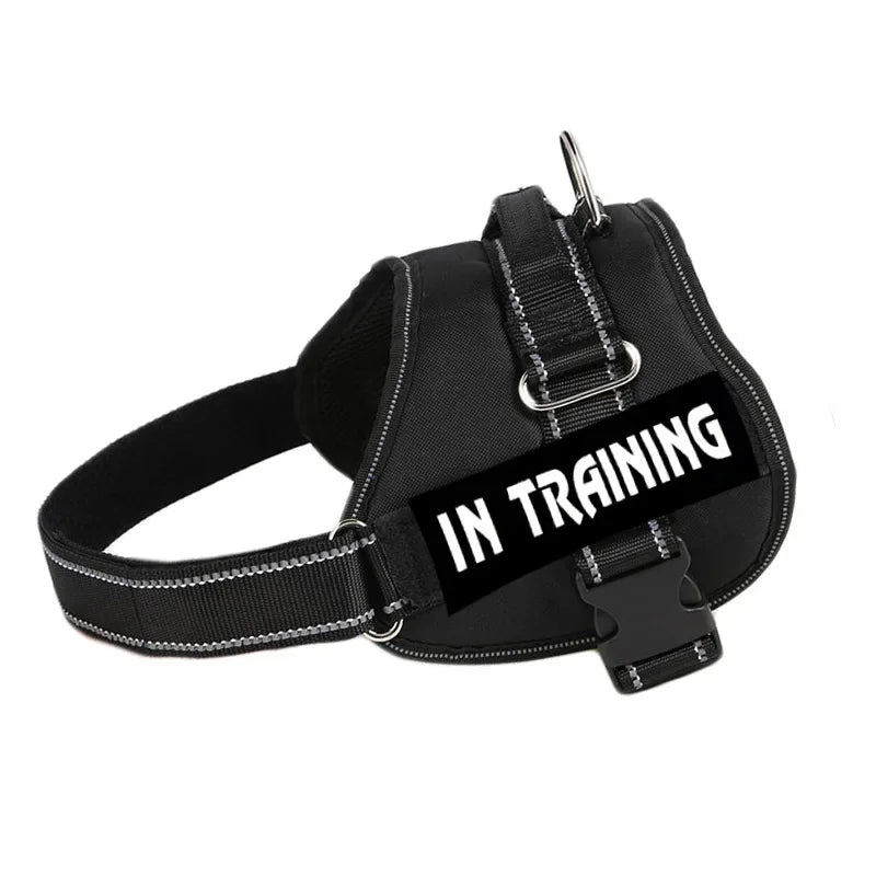 Adjustable Service Dog Harness