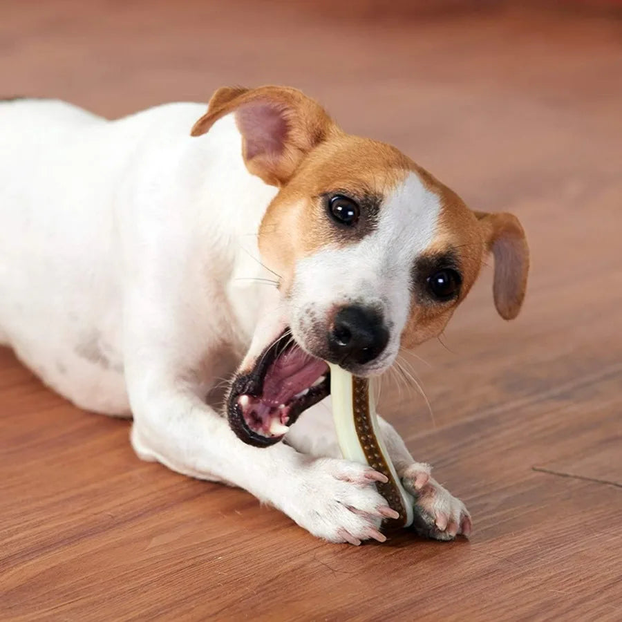 Indestructible Dog Chew Toys for Aggressive Chewers