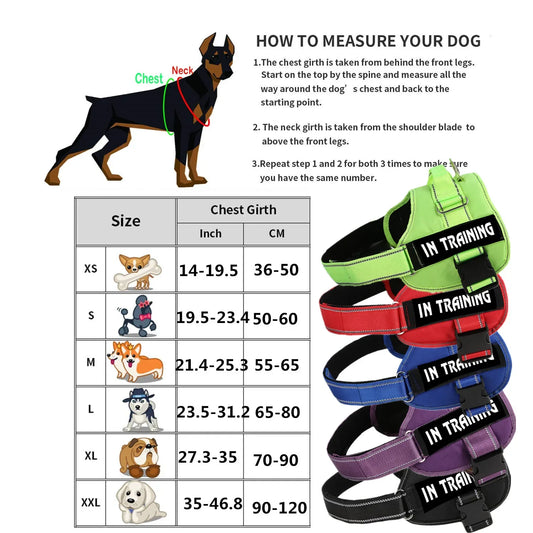 Adjustable Service Dog Harness