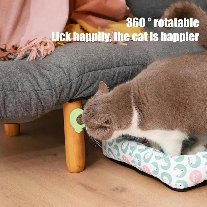 Catnip Balls For Cats