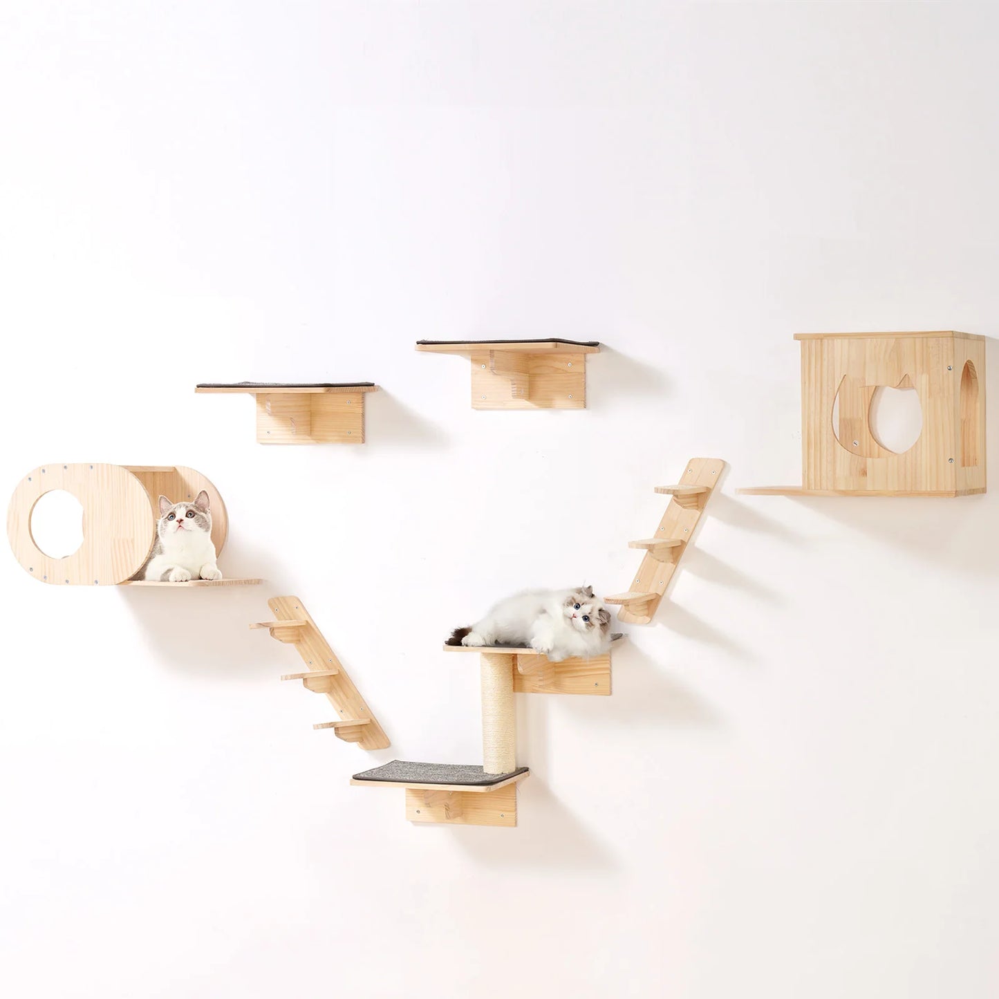 Wall Mounted Cat Wall Shelves and Perches