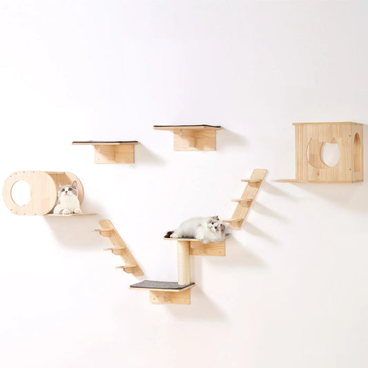 Wall Mounted Cat Wall Shelves and Perches