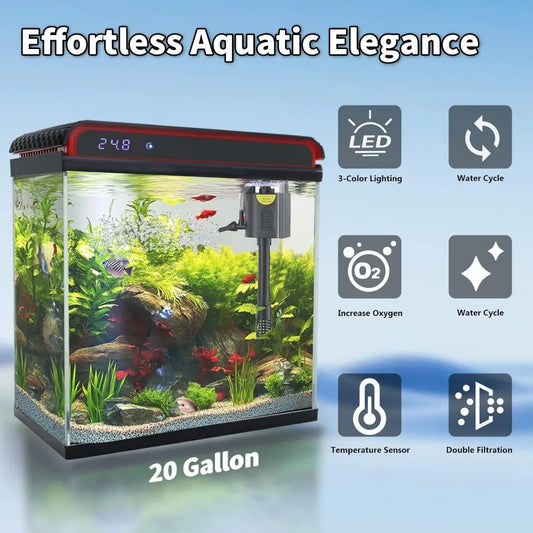 20 Gallon Aquarium Starter Kit