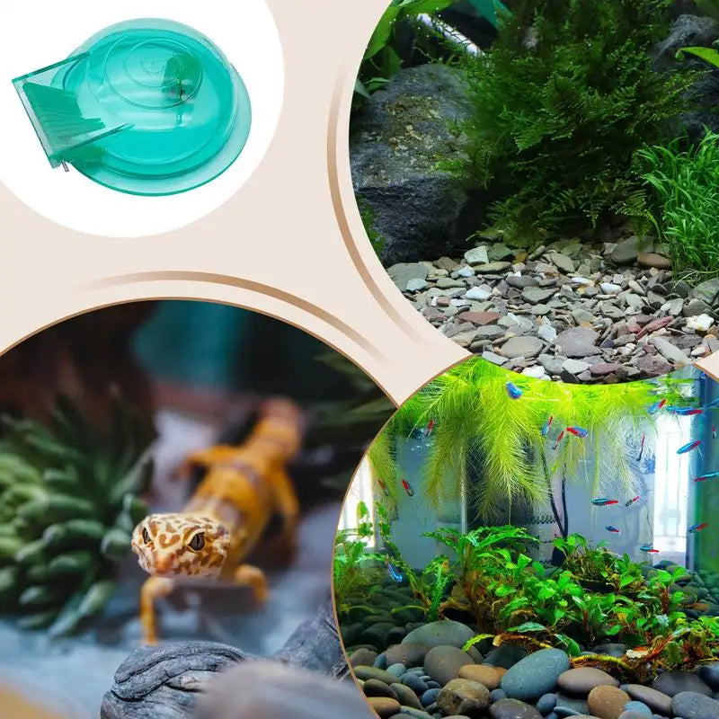 Snail Catcher Snail Trap Transparent Snail Catcher