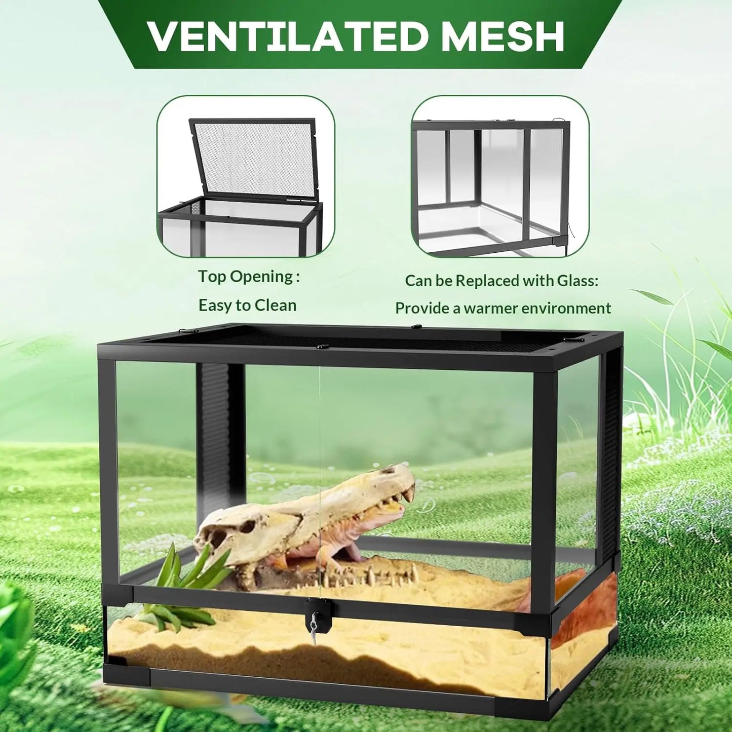 Reptile Glass Terrarium