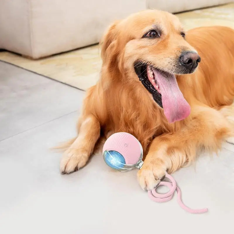 Automatic Rolling Ball Cat Interactive Ball Toy