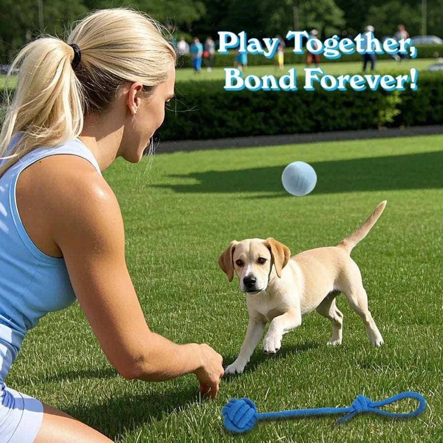 20 Pack Puppy Chew Toys