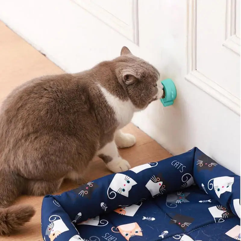 Catnip Balls For Cats