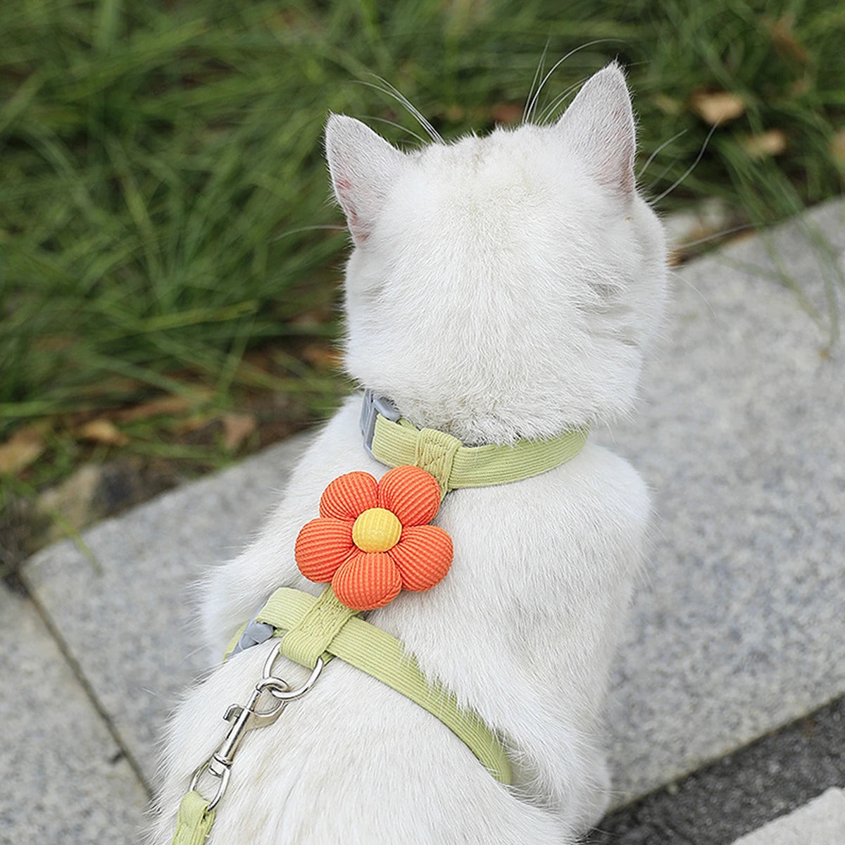 Cat and Dog Harness and Leash