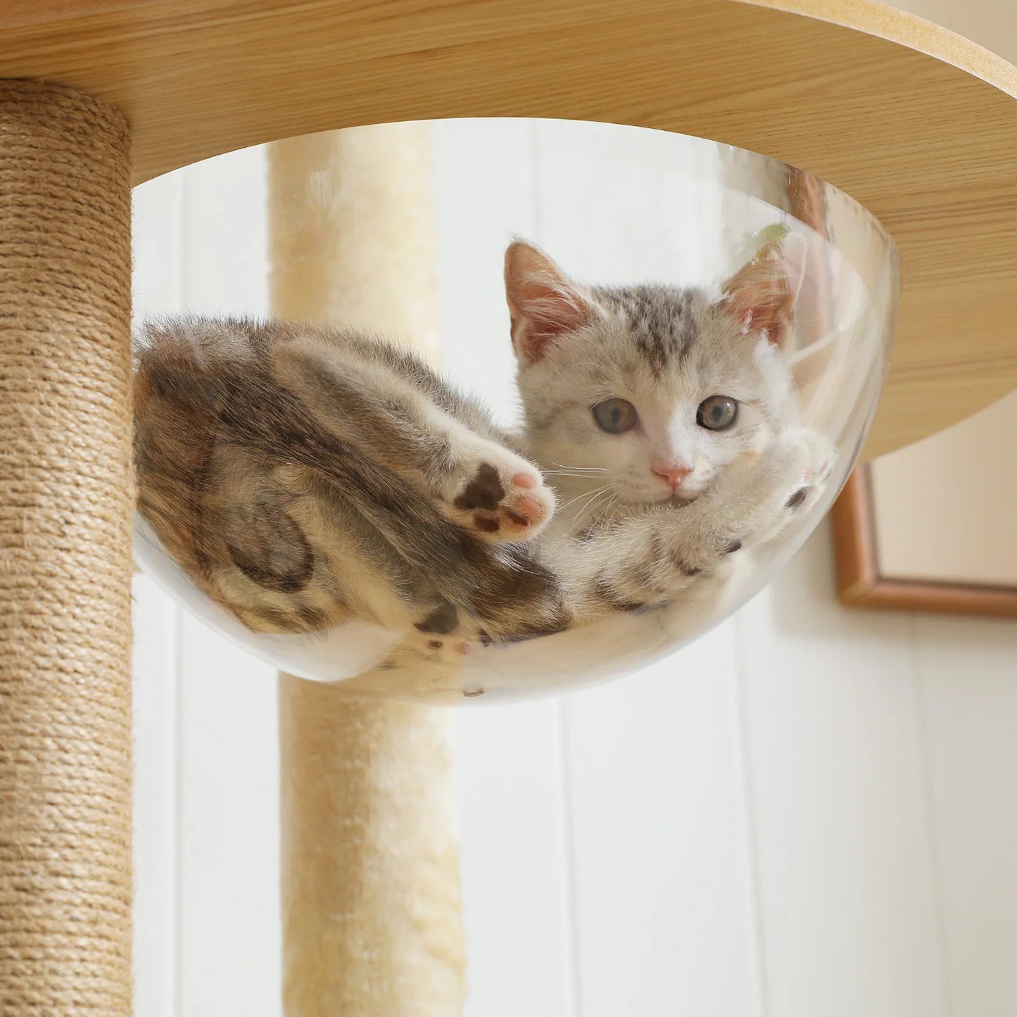 Multi-Level Cat Tree for Indoor Wood Cat Tower