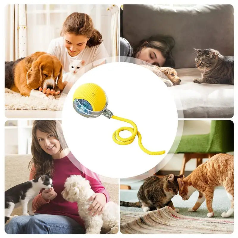 Automatic Rolling Ball Cat Interactive Ball Toy