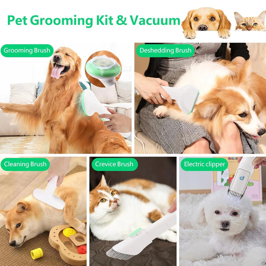 Pet Grooming Kit with 2L Vacuum