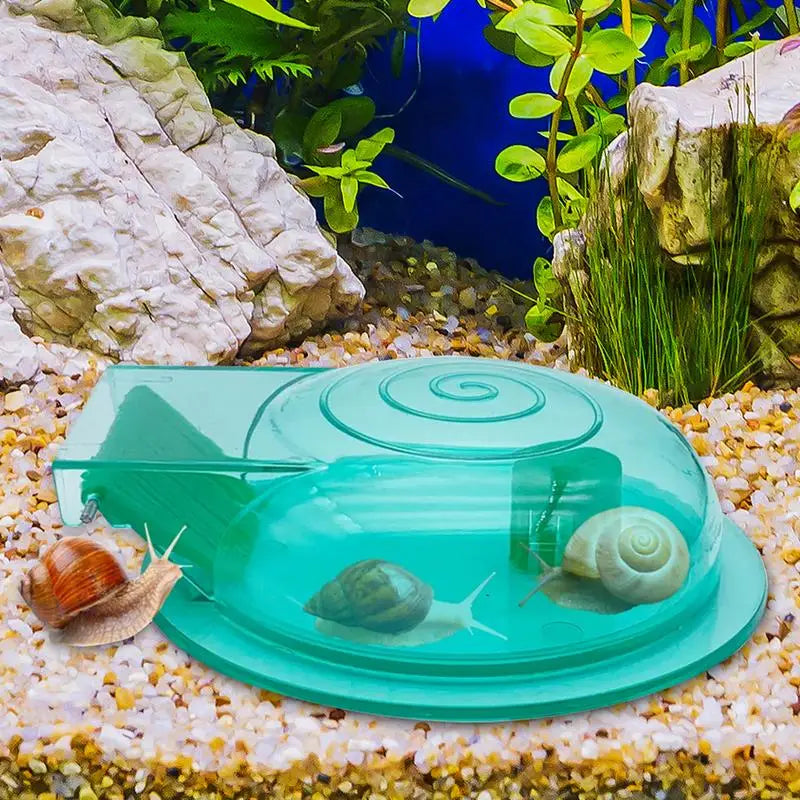 Snail Catcher Snail Trap Transparent Snail Catcher