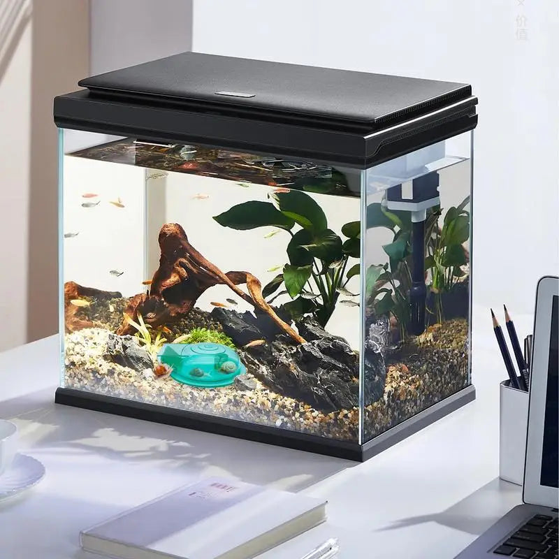 Snail Catcher Snail Trap Transparent Snail Catcher