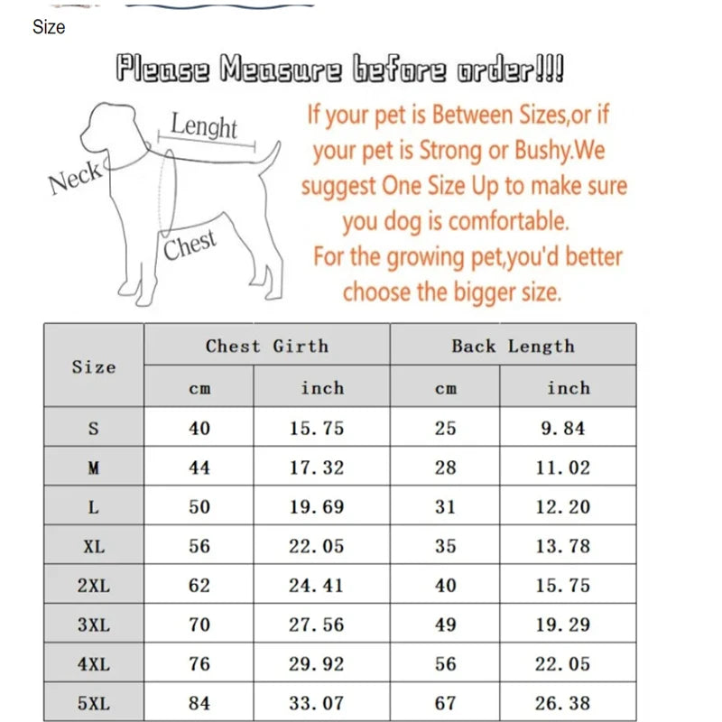 Winter Dog Down Jacket