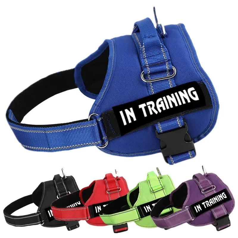 Adjustable Service Dog Harness