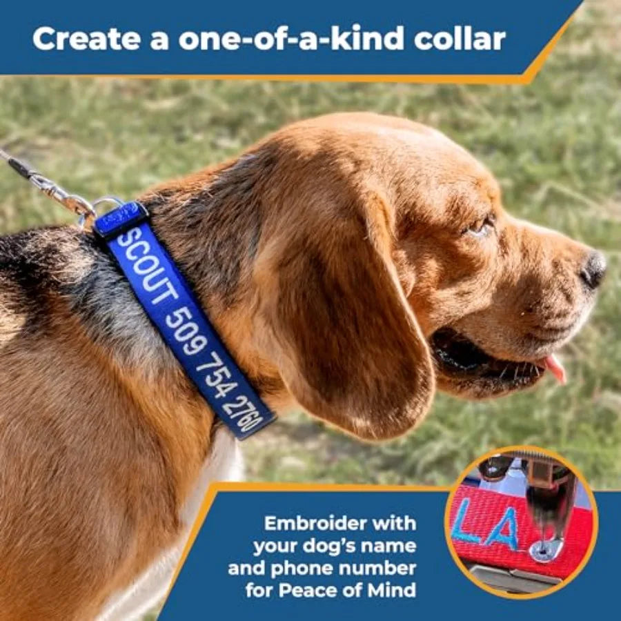 Personalized Dog Collar Custom Embroidered