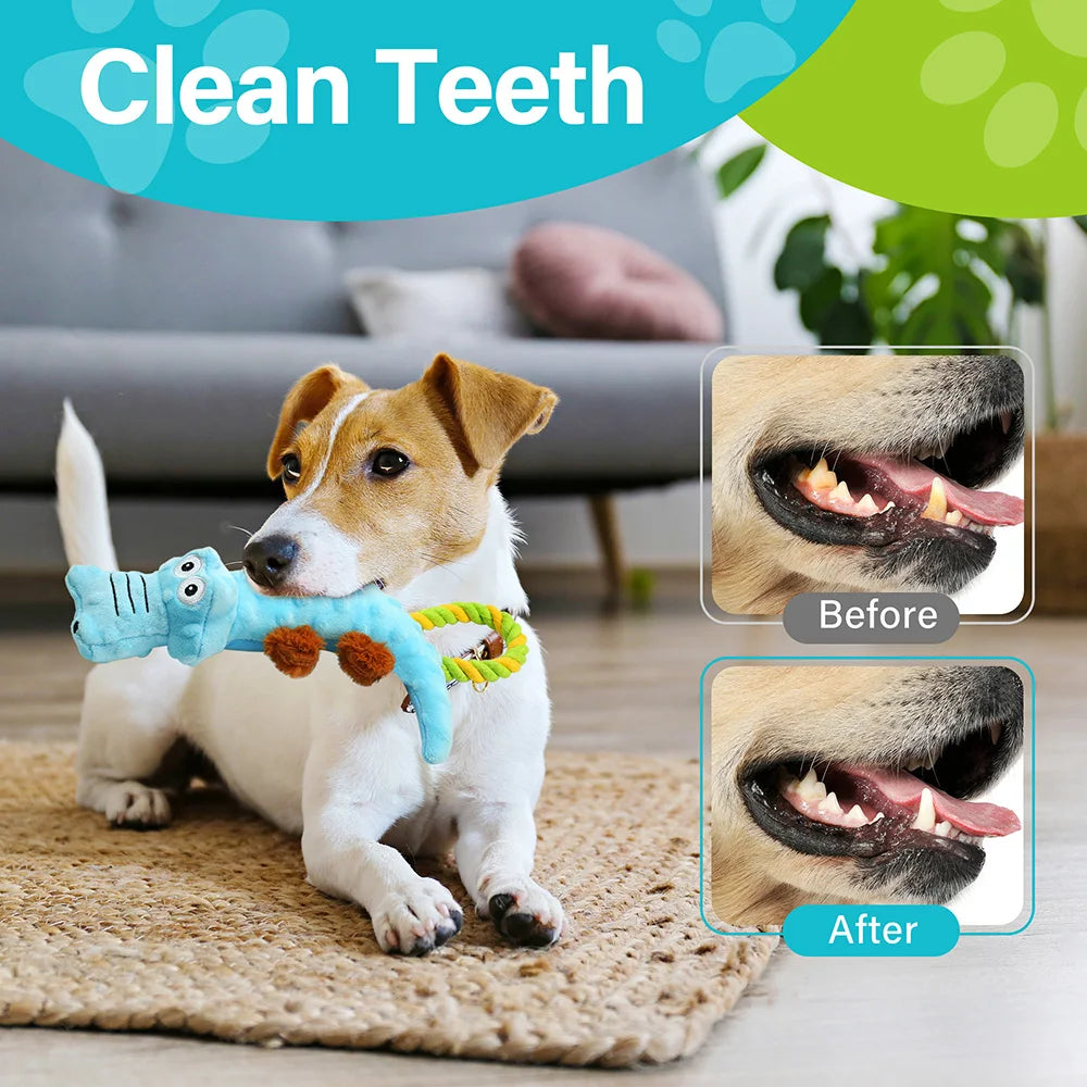 Squeaky Toy, 2 Pack, Tug of War