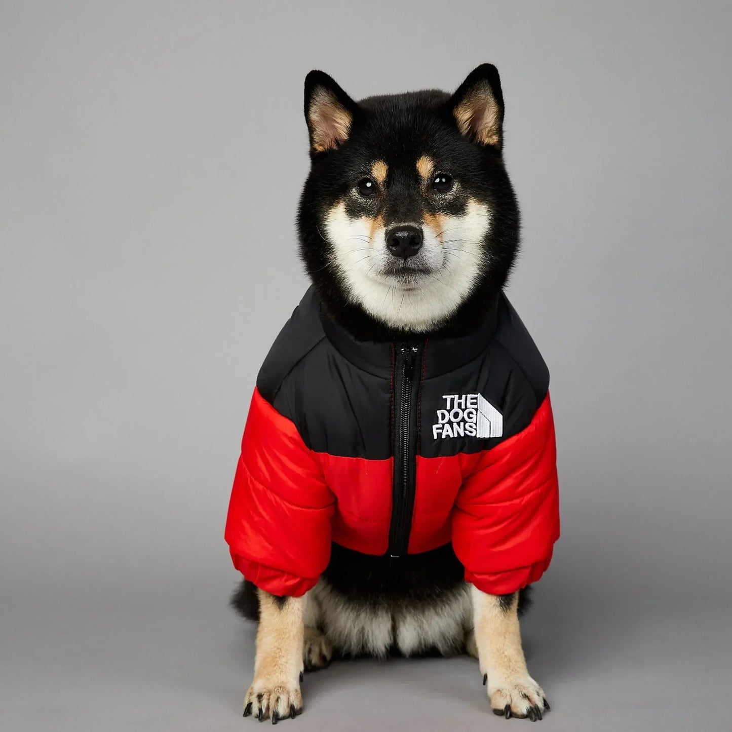 Winter Dog Down Jacket