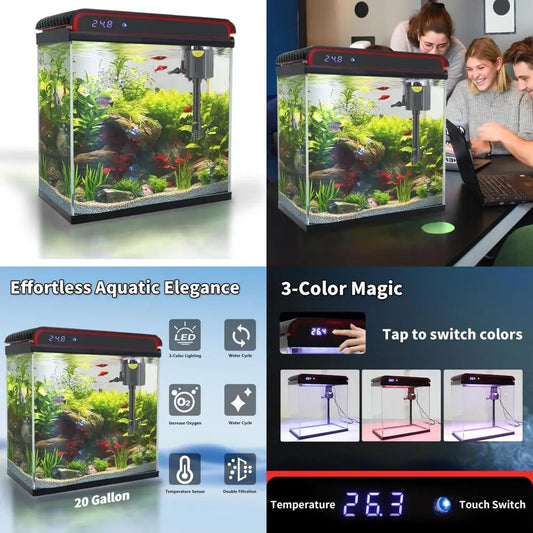 20 Gallon Aquarium Starter Kit