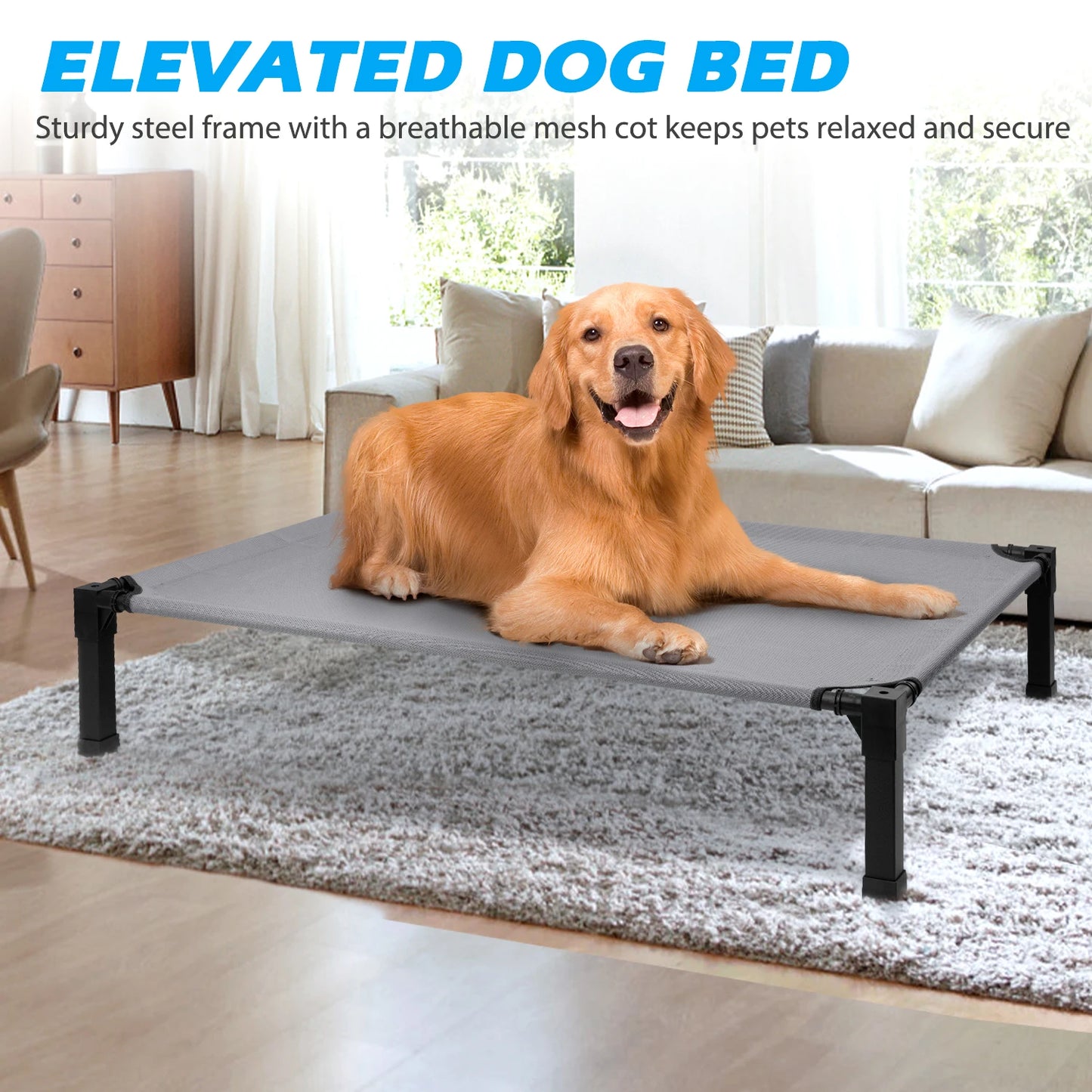 Elevated Dog Bed, Cooling Raised Pet Cot