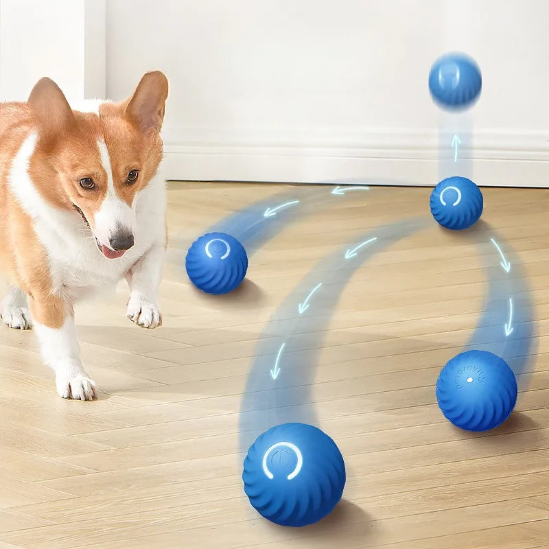 Automatic Moving Dog Toy Ball Smart USB