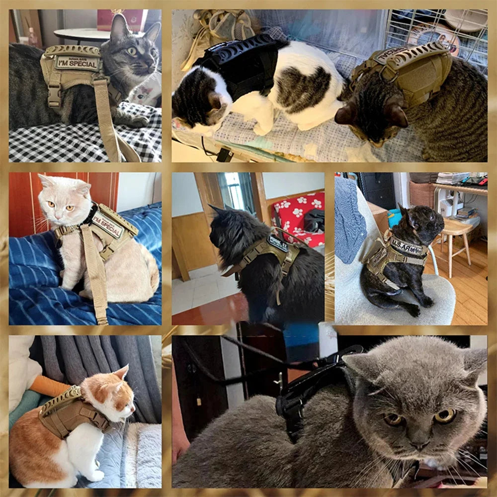 Tactical Cat Harness Leash with 2 Patches