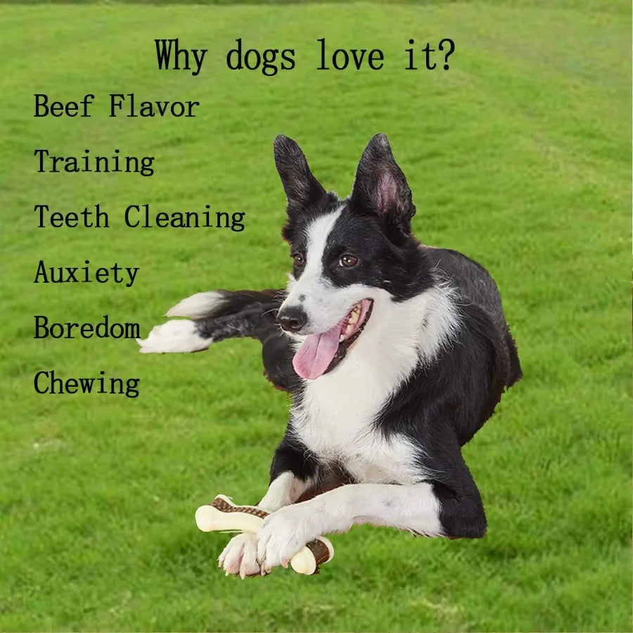Indestructible Dog Chew Toys for Aggressive Chewers