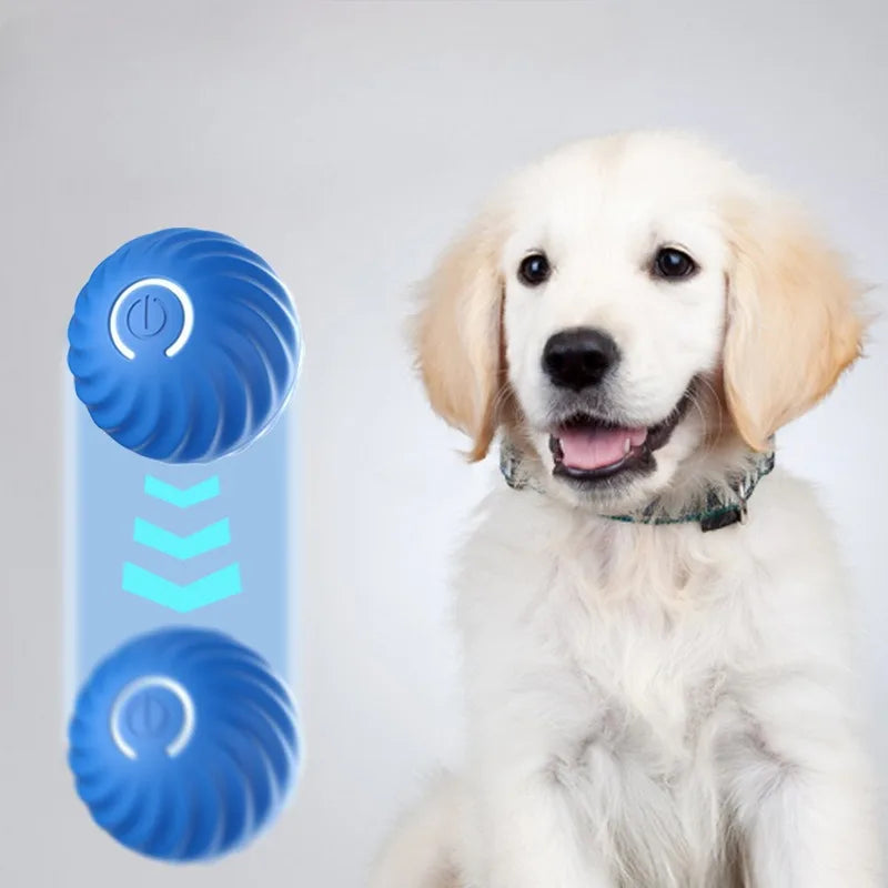 Automatic Moving Dog Toy Ball Smart USB