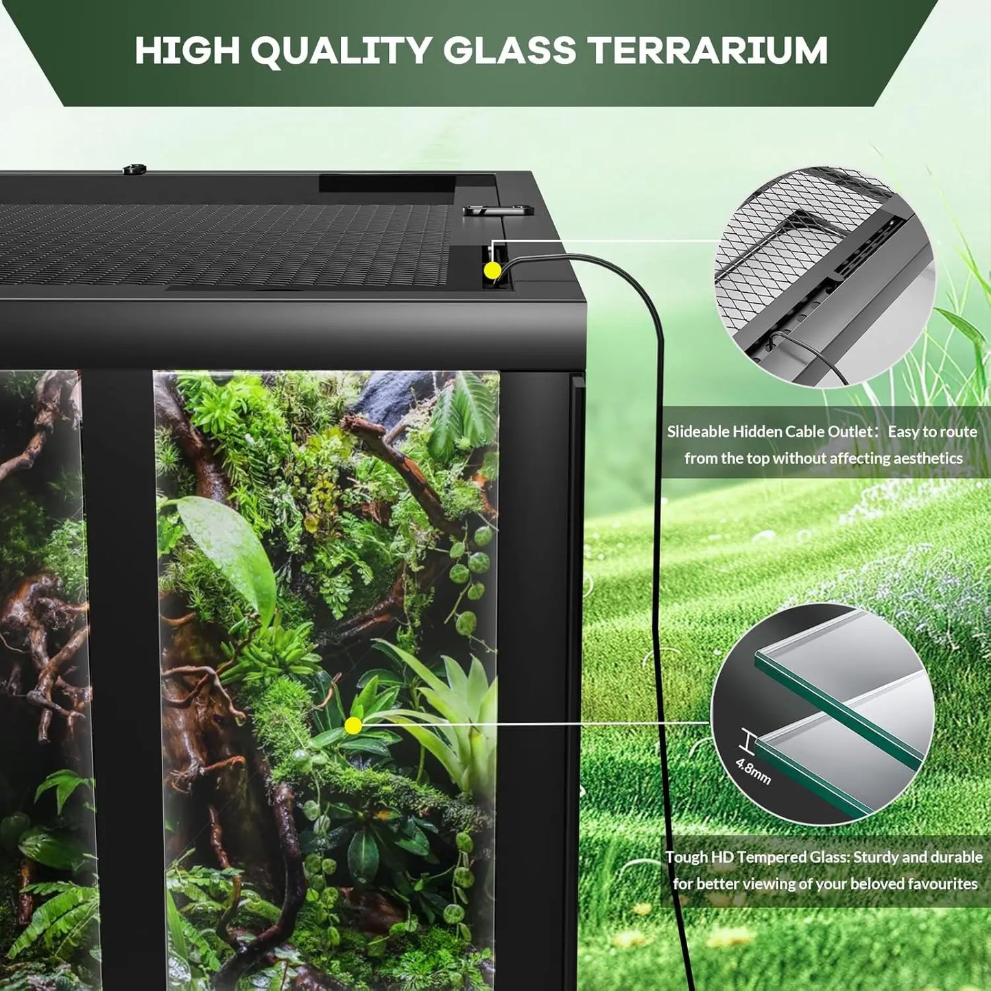 Reptile Glass Terrarium