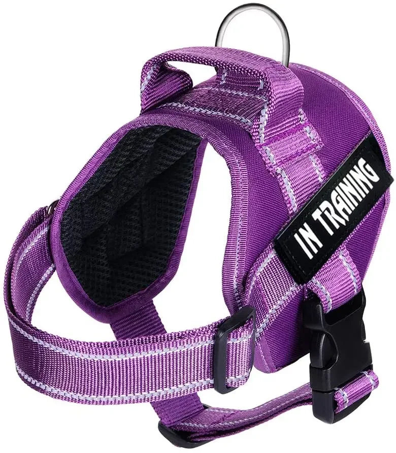 Adjustable Service Dog Harness