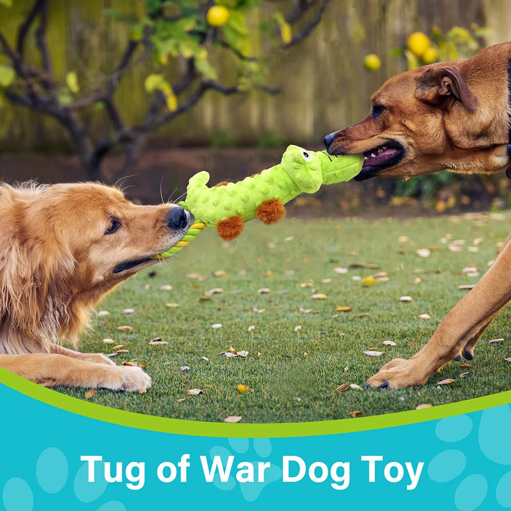 Squeaky Toy, 2 Pack, Tug of War