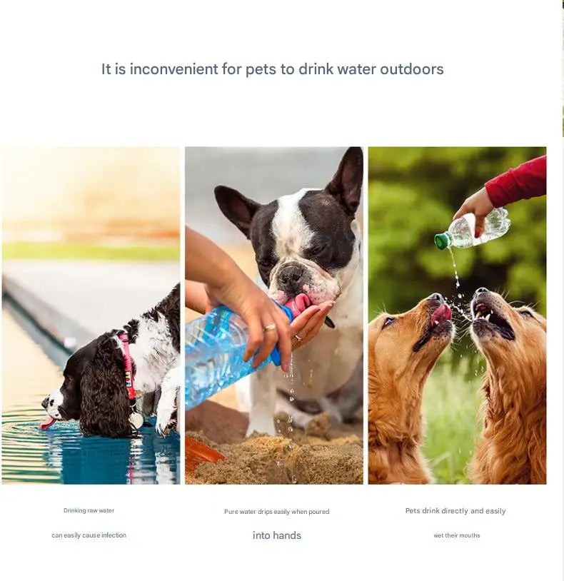 Portable Dog Water Cup