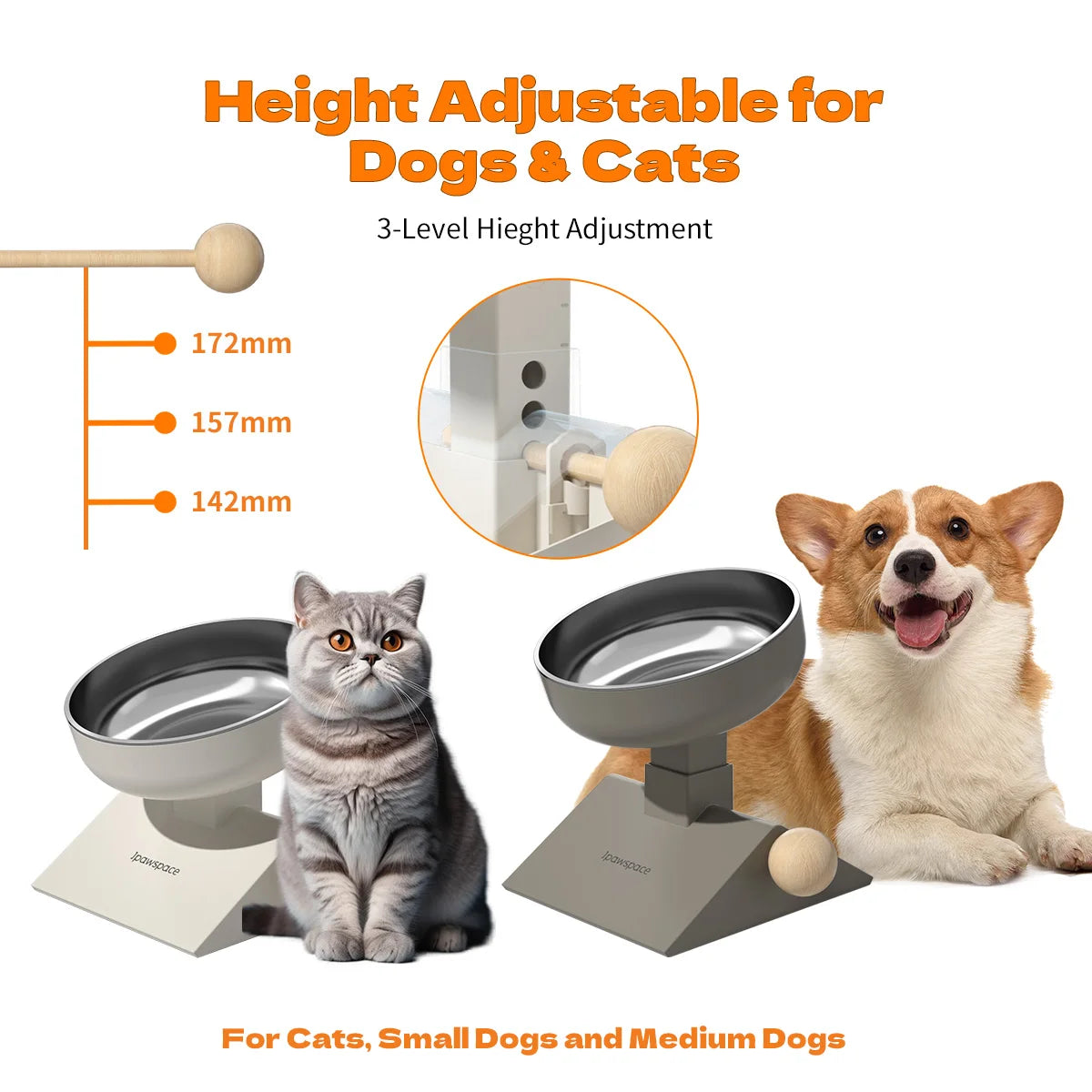 Elevated Dog Bowls for Small Medium Dogs and cats