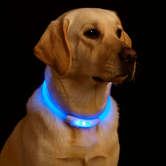 New LED Dog Collar USB Rechargeable